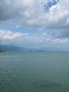 IMG_8860