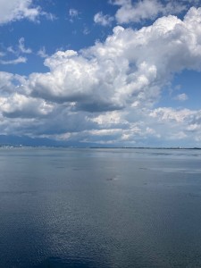 IMG_9142