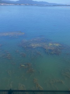 IMG_9225