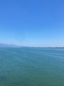 IMG_0302